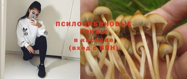 2c-b Богородск