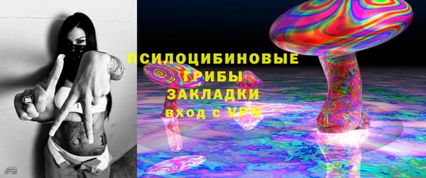 2c-b Богородск