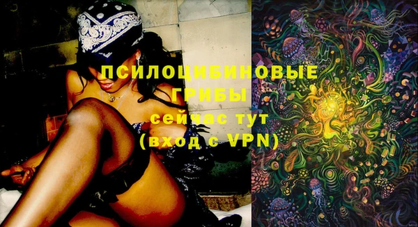 spice Бугульма