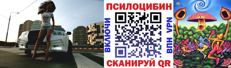 Псилоцибиновые грибы прущие грибы  Купить закладки  Кашира 